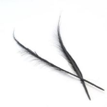 Black Burnt Pheasant Feather